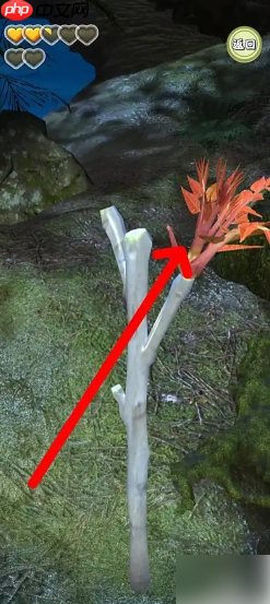 夺笋高手如何获得到香椿 夺笋高手获得香椿方法