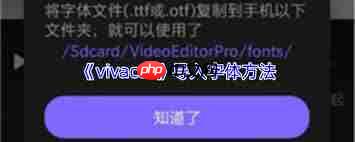 vivacut如何导入字体