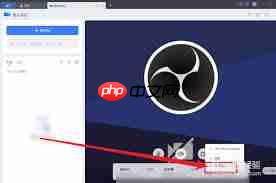 金山WPS office如何开启金山会议视频镜像
