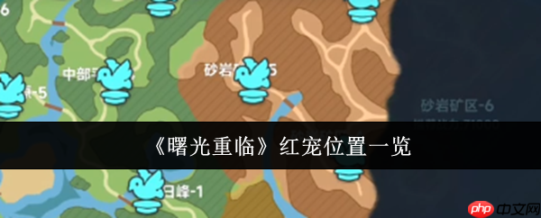 曙光重临红宠在哪里  曙光重临红宠位置一览