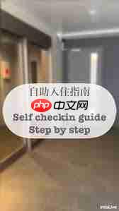 intoLive官网入口在哪