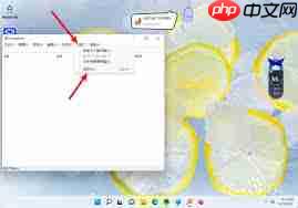 Everything如何设置搜索路径