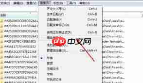 Everything如何设置搜索路径