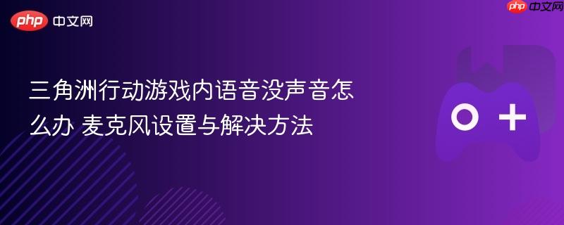 三角洲行动游戏内语音没声音怎么办 麦克风设置与解决方法