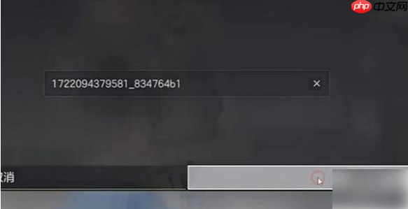 极品飞车集结捏脸代码怎么用 极品飞车集结捏脸代码使用方法