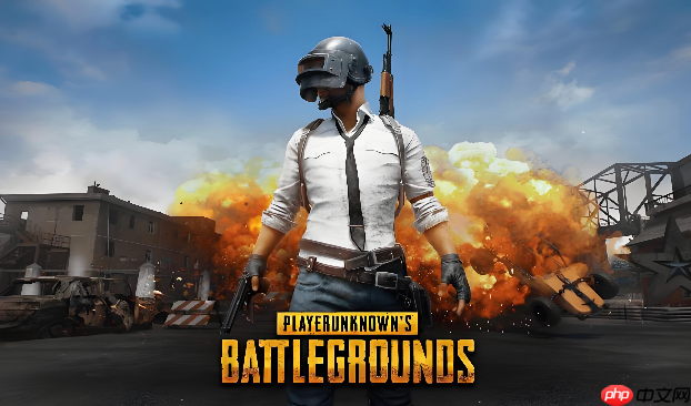 pubg官网入口手机版 pubg官网入口国际服手游