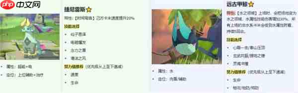 卡米的旅途雨天队玩法搭配分享