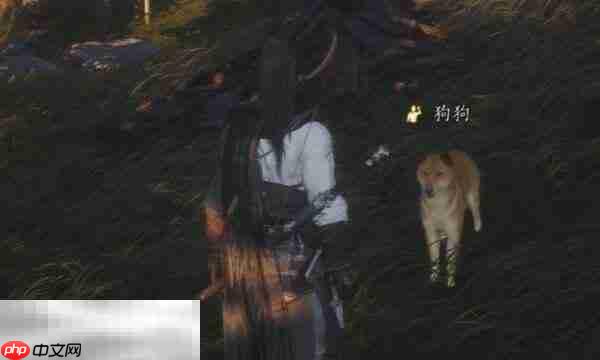 燕云十六声狗狗怎么结交 狗狗对话攻略