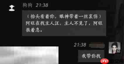 燕云十六声狗狗怎么结交 狗狗对话攻略
