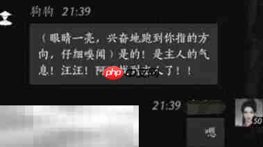 燕云十六声狗狗怎么结交 狗狗对话攻略