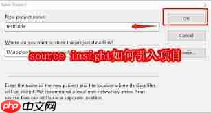 source insight怎么引入项目