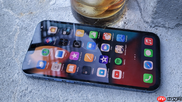 iphone 13 pro如何查看app内存占用_iphone 13 pro存储管理