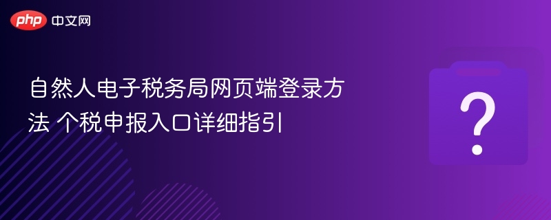 自然人电子税务局网页端登录方法 个税申报入口详细指引 - 98游戏