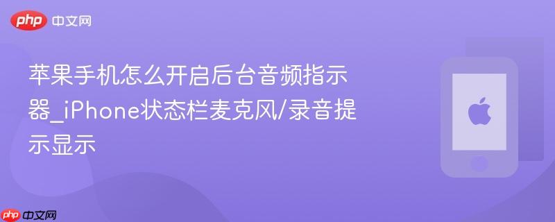 苹果手机怎么开启后台音频指示器_iphone状态栏麦克风/录音提示显示