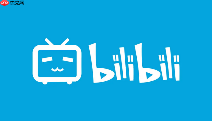 哔哩哔哩怎么设置视频字幕_哔哩哔哩开启字幕方法【指南】