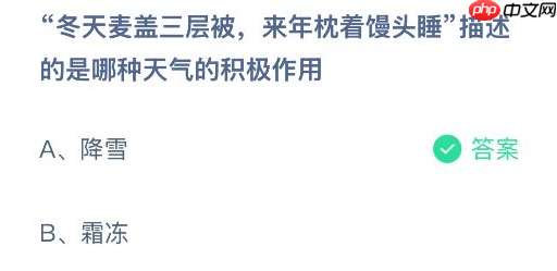 蚂蚁庄园今日答案2.6 冬天麦盖三层被来年枕着馒头睡描述的是哪种天气的积极作用 - 98游戏