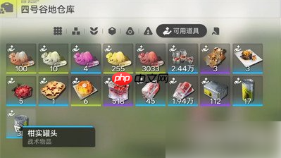 明日方舟终末地荞愈胶囊是什么 荞愈胶囊道具介绍