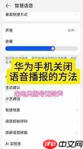 如何关闭华为语音助手来电语音播报