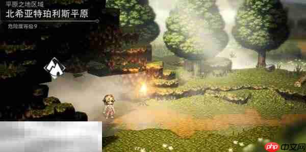 歧路旅人0书类武器介绍 歧路旅人0书类武器有哪些