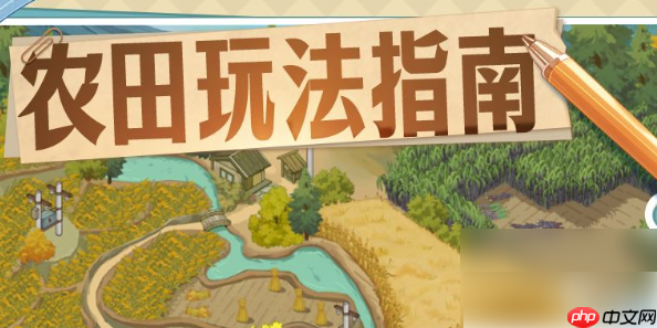 时光杂货店农田怎么玩 时光杂货店农田攻略