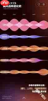 如何下载网易云音乐2025年度听歌报告