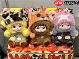 wakuku是男孩还是女孩