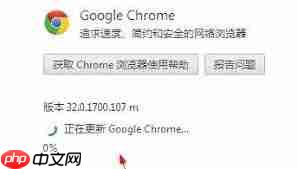 谷歌浏览器如何检查更新