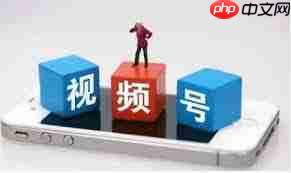 视频号如何设置绿幕直播背景