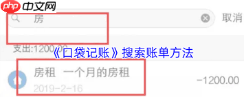 口袋记账如何查询账单