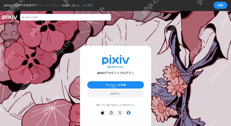pixiv官方网站在线入口说明 pixiv网页端首页直达地址 - 98游戏
