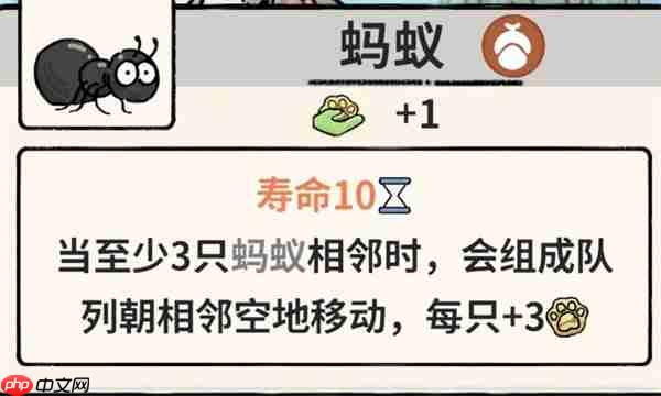 猫神牧场蚂蚁流玩法攻略介绍说明