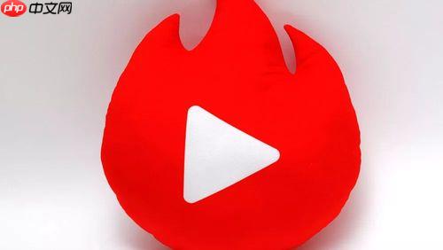 抖音火山版当下最火爆2026在线主页入口 网页官方极速入口