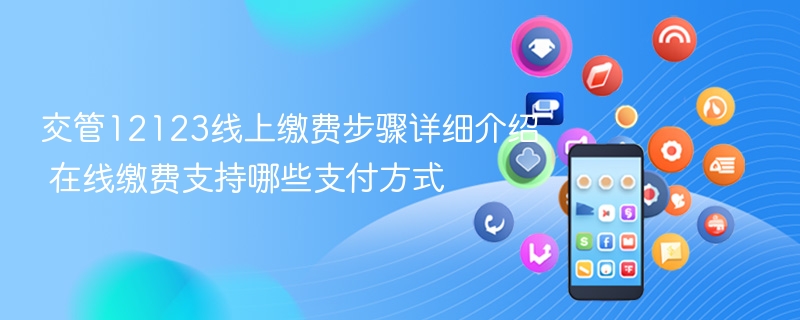 交管12123线上缴费步骤详细介绍 在线缴费支持哪些支付方式 - 98游戏
