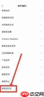 爱奇艺极速版怎么查看营业执照
