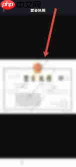 爱奇艺极速版怎么查看营业执照