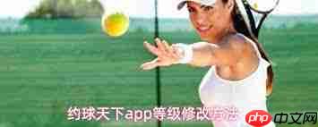 约球天下app如何修改等级