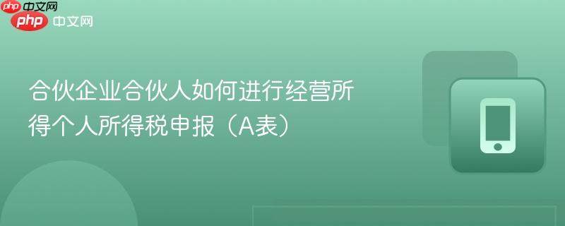 合伙企业合伙人如何进行经营所得个人所得税申报（a表）