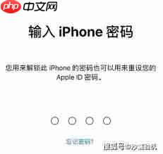 iPhone15手机六位密码怎么改成四位