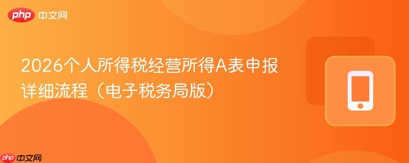 2026个人所得税经营所得a表申报详细流程（电子税务局版）
