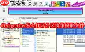如何用diskgenius打开分区镜像提取文件