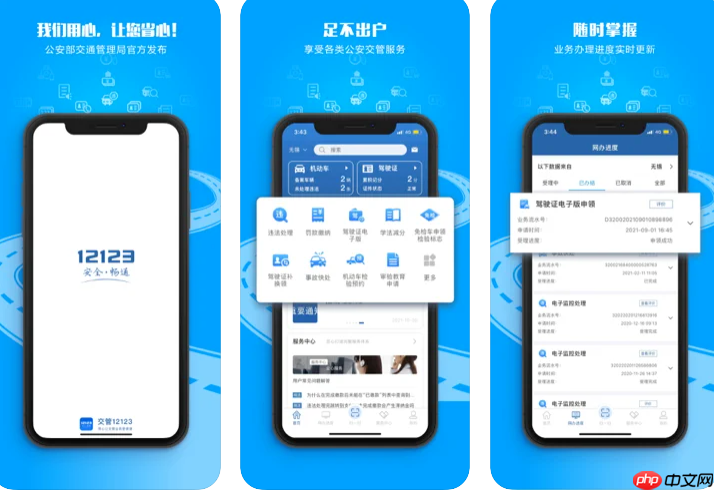 手机12123如何自助缴纳交通罚款 12123缴款编号支付教程