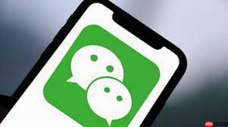 苹果ios 18微信视频美颜怎么开？iphone微信视频通话美颜设置【方法】