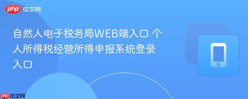 自然人电子税务局web端入口 个人所得税经营所得申报系统登录入口