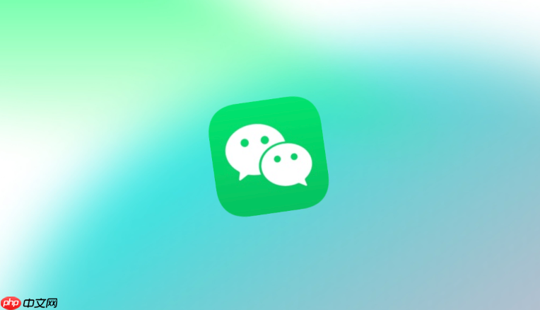 为什么微信视频没有美颜？教你正确开启微信视频通话美颜的方法