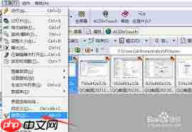 如何设置ACDSee图片关联格式