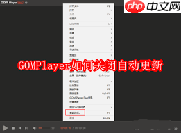 GOMPlayer如何取消始终保持顶端显示