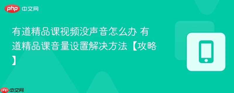 有道精品课视频没声音怎么办 有道精品课音量设置解决方法【攻略】