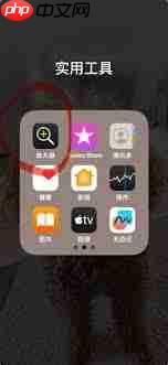 iPhone宠物寄生虫怎么检测