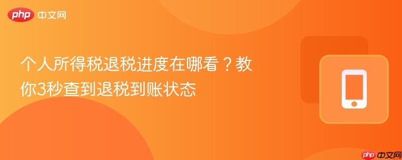 个人所得税退税进度在哪看?教你3秒查到退税到账状态