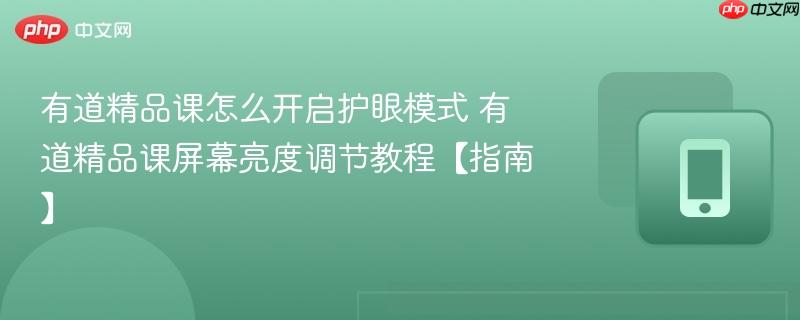 有道精品课怎么开启护眼模式 有道精品课屏幕亮度调节教程【指南】